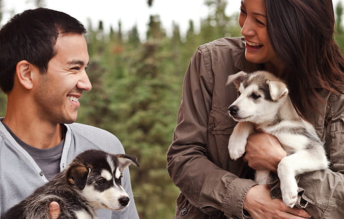 Couple smiling and holding Siberian Husky puppies on vacation tour