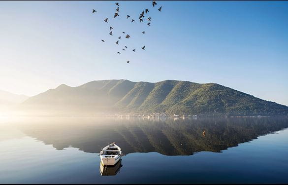 A small boat on the water with a mountain reflecting on the water, with birds flying above
